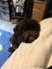 A654BE4F-1D87-40CE-919E-725FD222C238.jpeg