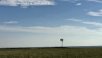 469F8D69-774C-412A-B47C-2577DD58CCEF.jpeg