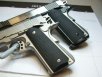 Twins Kimber-002.JPG
