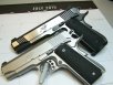 Twins Kimber-001.JPG