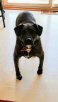 20170303_112715.jpeg