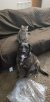 Resized_20171222_182620_2100.jpeg