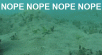 A7D0B5B8-6D4D-494F-9B5D-4DE1D8270BC0.gif