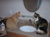 sugee n larry 2011.JPG