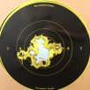 DW 10yds.JPG