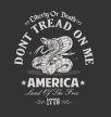 America dont tread on me vector 27489144