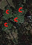 1669929440770.png
