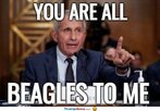 you-are-all-beagles.jpg