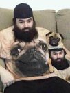 dog shirt.jpg