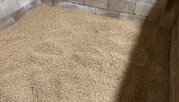 IMG_0507.jpeg IMG_0507.jpeg