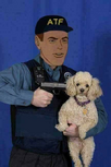 1684767871043.png