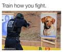 1684768119759.jpeg