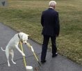 img.jpg