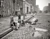 Children playing in New York City street gutter next to dead horse, 1905.jpg