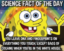 1694902645396.png