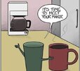 IMG_3778.jpeg
