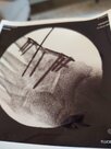 thumbnail.jpgXRAY.jpg