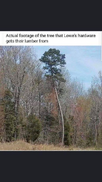 1700369250110.png