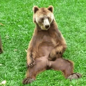 4B0B6485-12CB-48F7-8576-31216CEB76F4.gif
