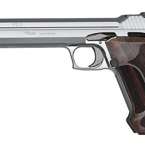 P210 Silver Supertarget.jpg