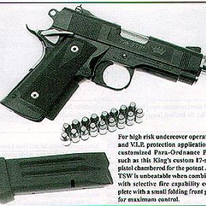 ParaOrd356TSW