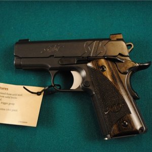 kimber SIS.jpg