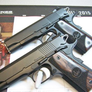 Twins DW Guardian-001.JPG