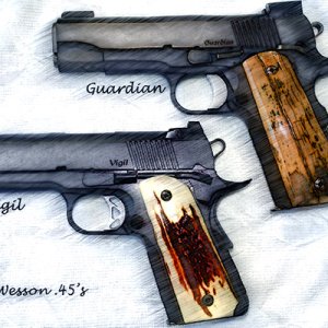 DanWesson 45's.jpg
