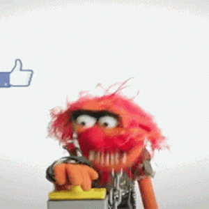 like-muppet.gif
