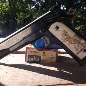 COLT 70-3 (2).jpg