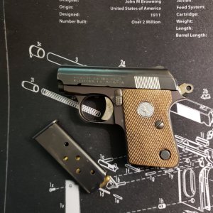 Colt 25.jpg