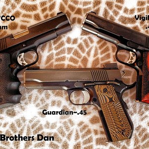 Brothers Dan.jpg