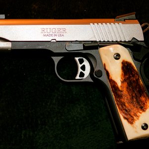 Ruger.jpg