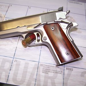 AMT's - 007.JPG