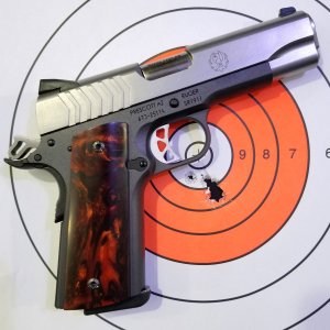 2013-12-13-SR1911-9-LW.jpg