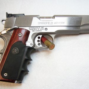 Springfield 9mm - 002.JPG