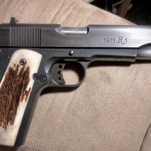 R1.jpg
