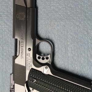 Springfield Loaded Target.JPG