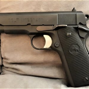 Colt a1.jpg