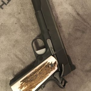 SA RO Stag.JPG