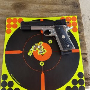 Target #1 Wilson.jpg