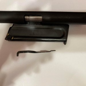 colt 2.jpg