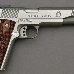SA long slide.jpg