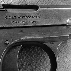 Vest Colt.JPG