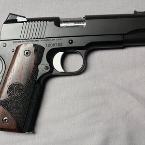 Dan Wesson Guardian 9mm Cmdr. R.JPG