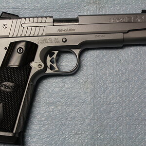 Sig Sauer GSR Revolution 45 R.JPG
