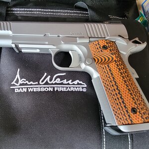 DAN WESSON SPECIALIST GRIP PIC.jpg