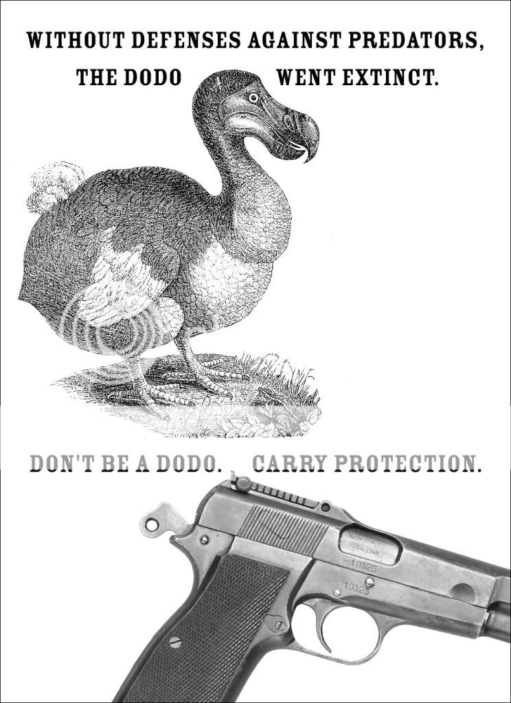 dodo.jpg