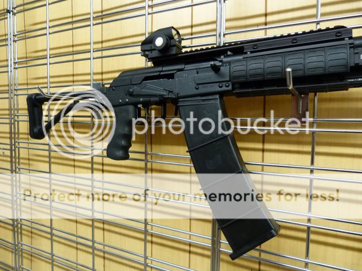 Saiga1.jpg
