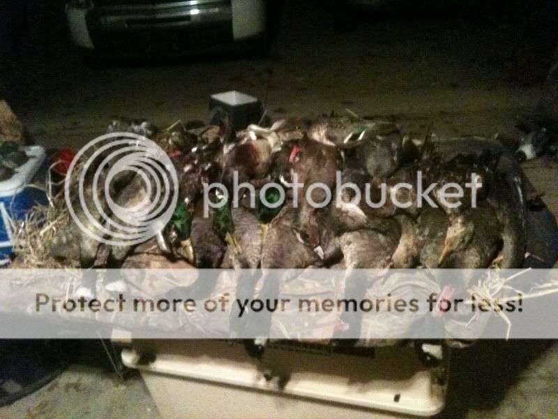 photo4-1.jpg